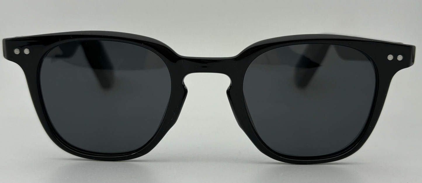 AI Meta Smart glasses