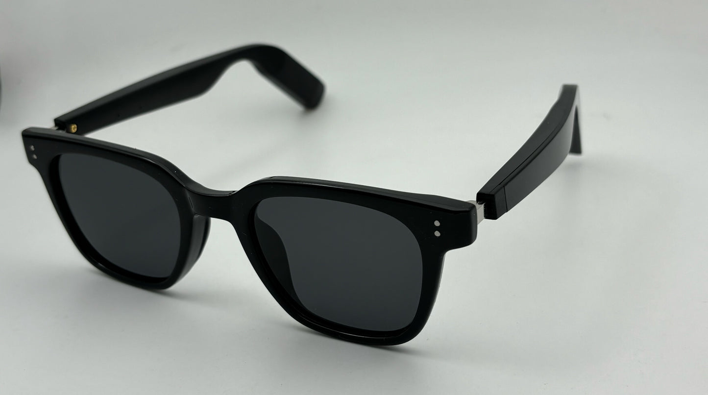 AI Sunglass