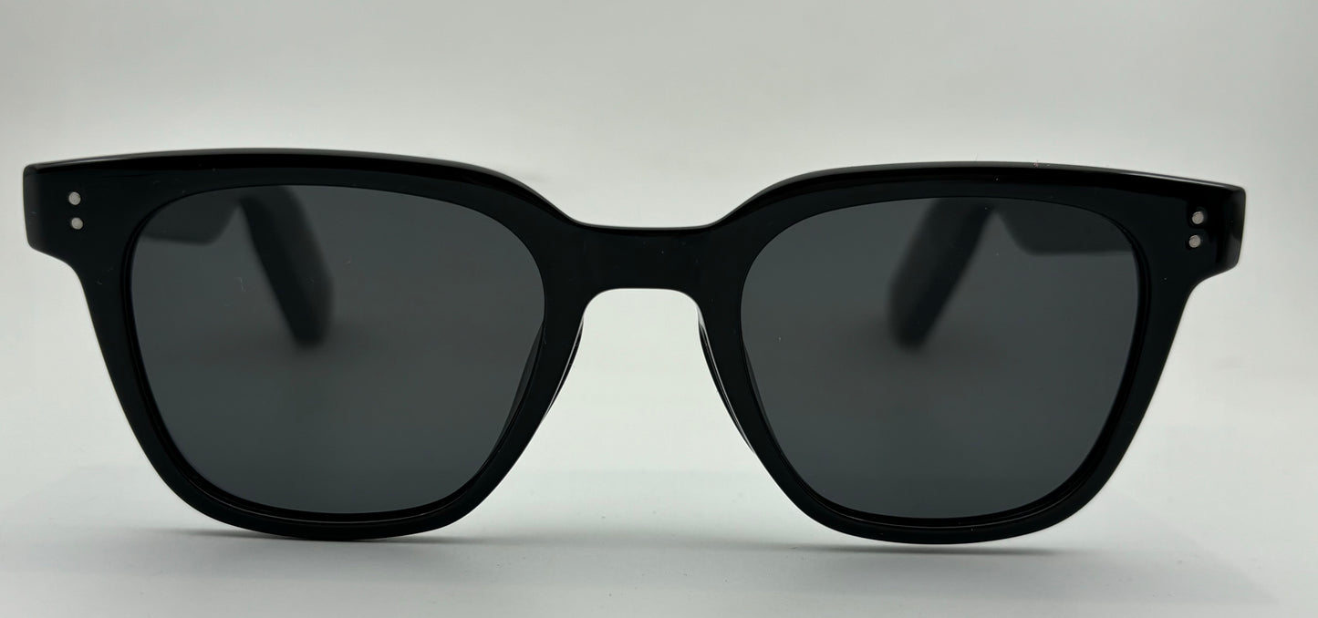 AI Sunglass