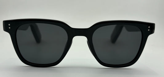 AI Sunglass